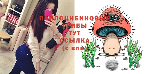 mix Аркадак